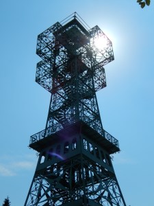 Not even the beautiful sunshine can convince me to climb to the top.